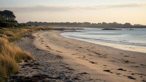 Séjour en gîte et yoga en Bretagne : où allier bien-être et nature ?